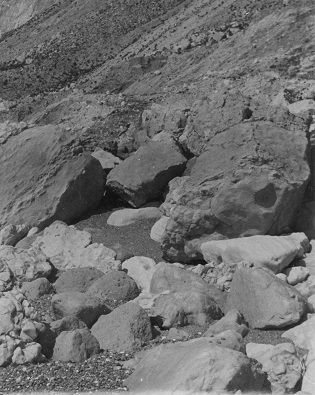 Rock Study [PL24], c.1939