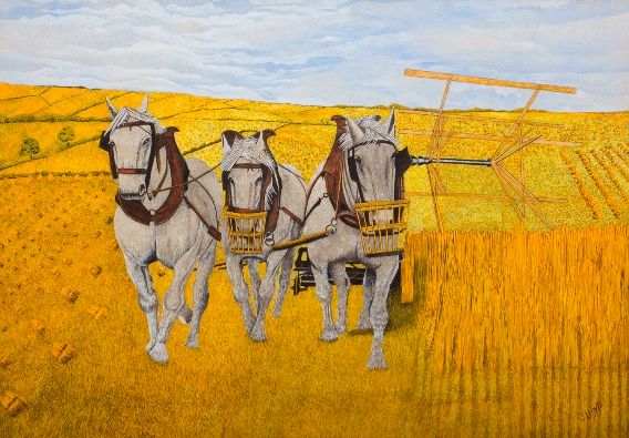Bringing Home the Harvest, c.1964