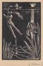 The Iris Bent Forward, c.1930