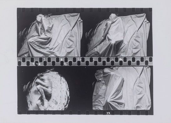 Húsfestmény / Flesh Painting VIII