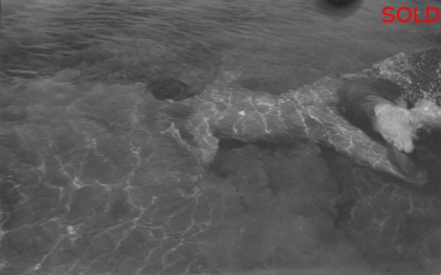 Figure swimming in shallow water [P24]