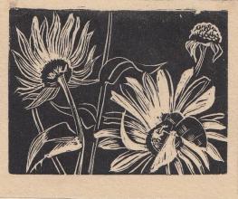 The Insect Stirred, c.1930