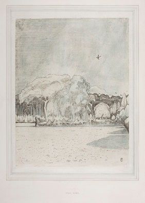 The Field Before the Wood