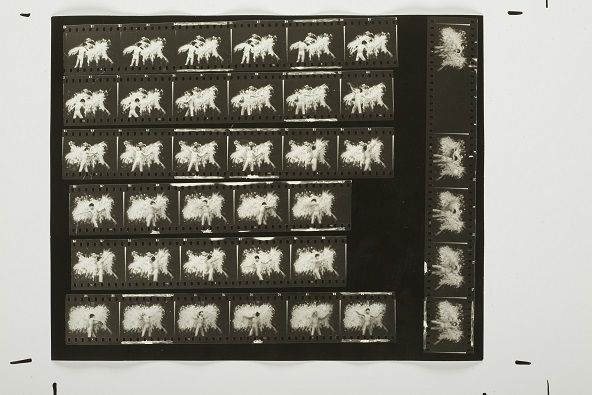 Húsfestmény / Flesh Painting Contact Sheet