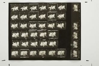 Húsfestmény / Flesh Painting Contact Sheet