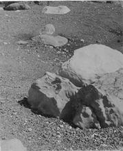 Rock Study II [PL25]