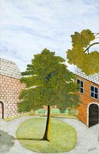 Tree in Courtyard