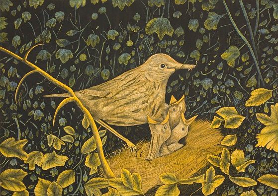 Birds Feeding