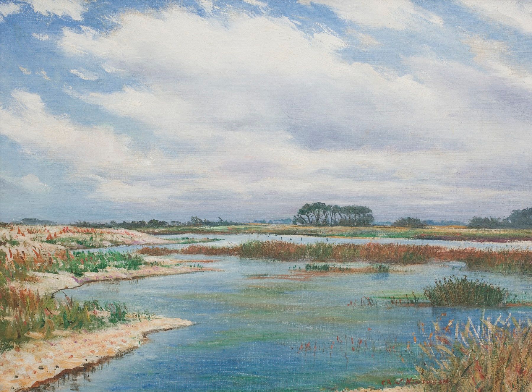 Sanddunes near Selsey 