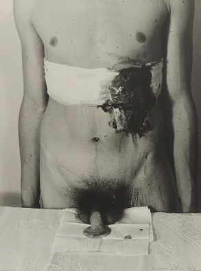 Das Orgien Mysterien Theater Frühe Aktionen, 12th Action, 1965 / 1982 