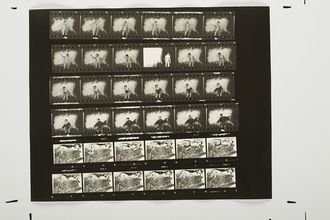 Húsfestmény / Flesh Painting Contact Sheet