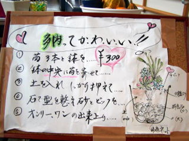 〈 のはな 〉