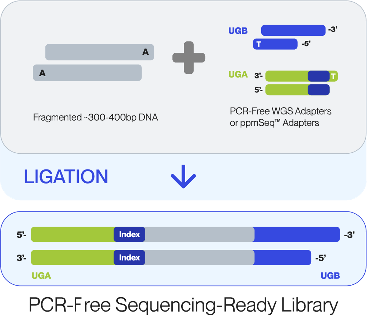 Solaris Free workflow