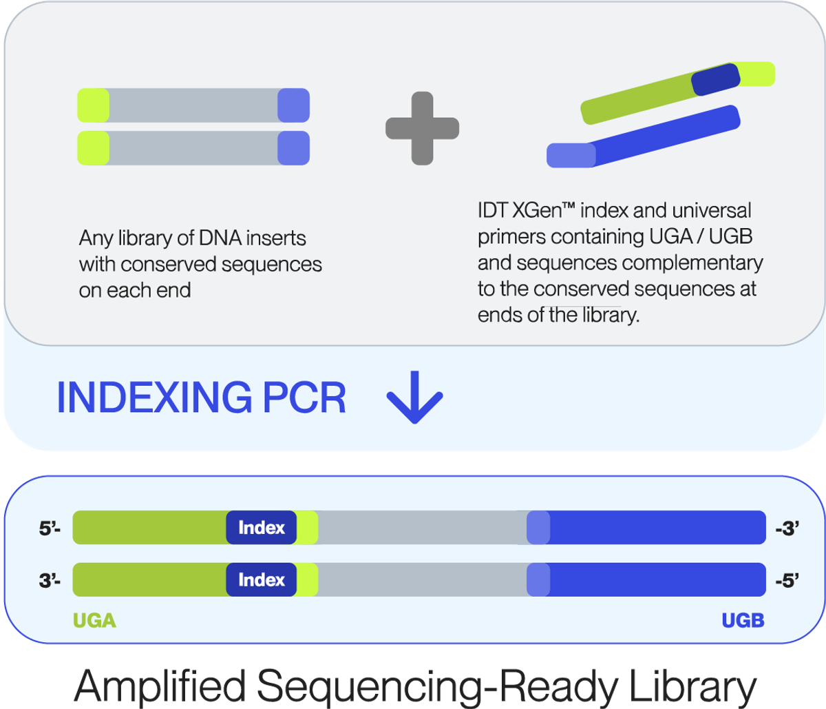 Solaris Free workflow