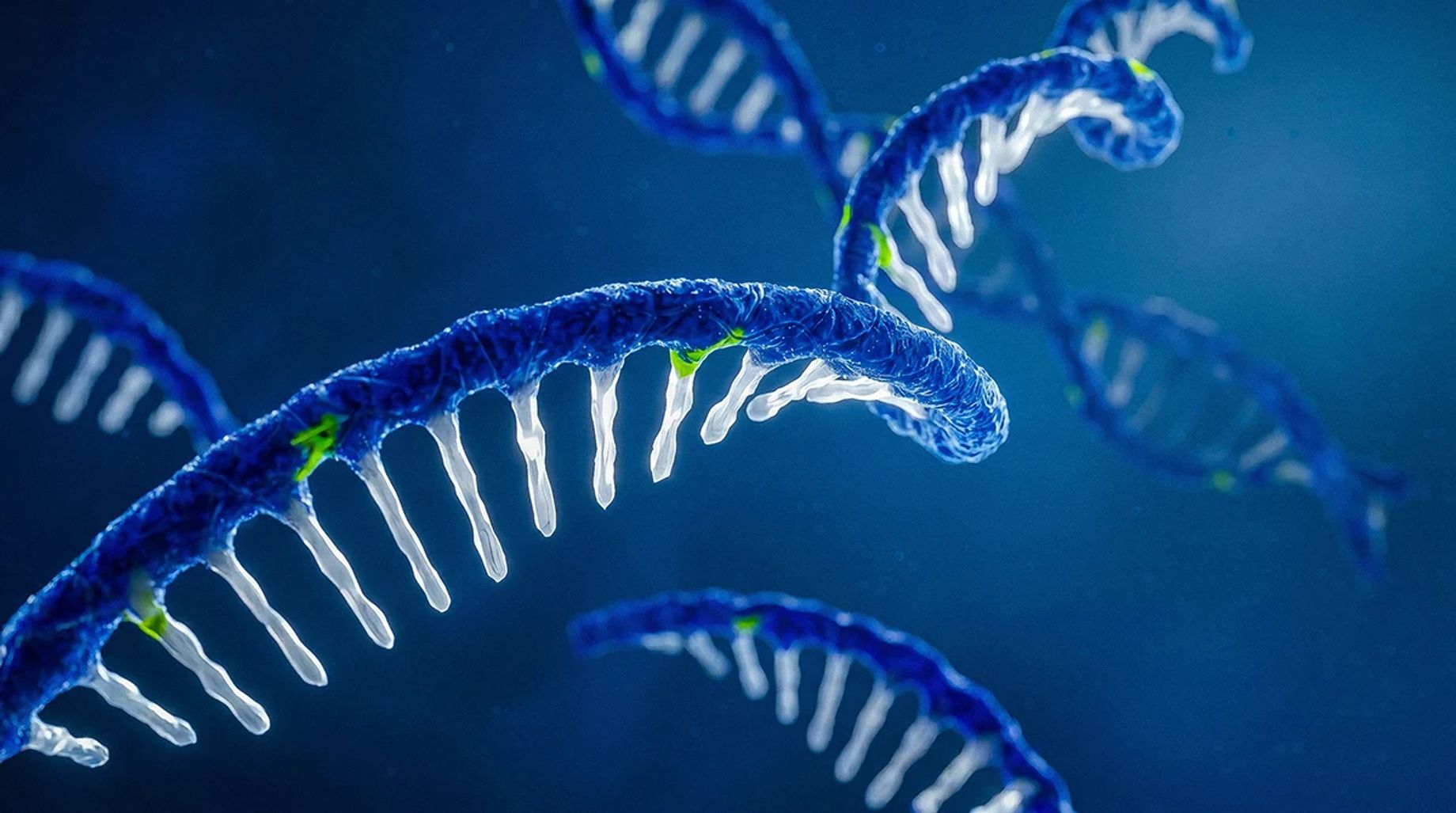 rna-sequencing