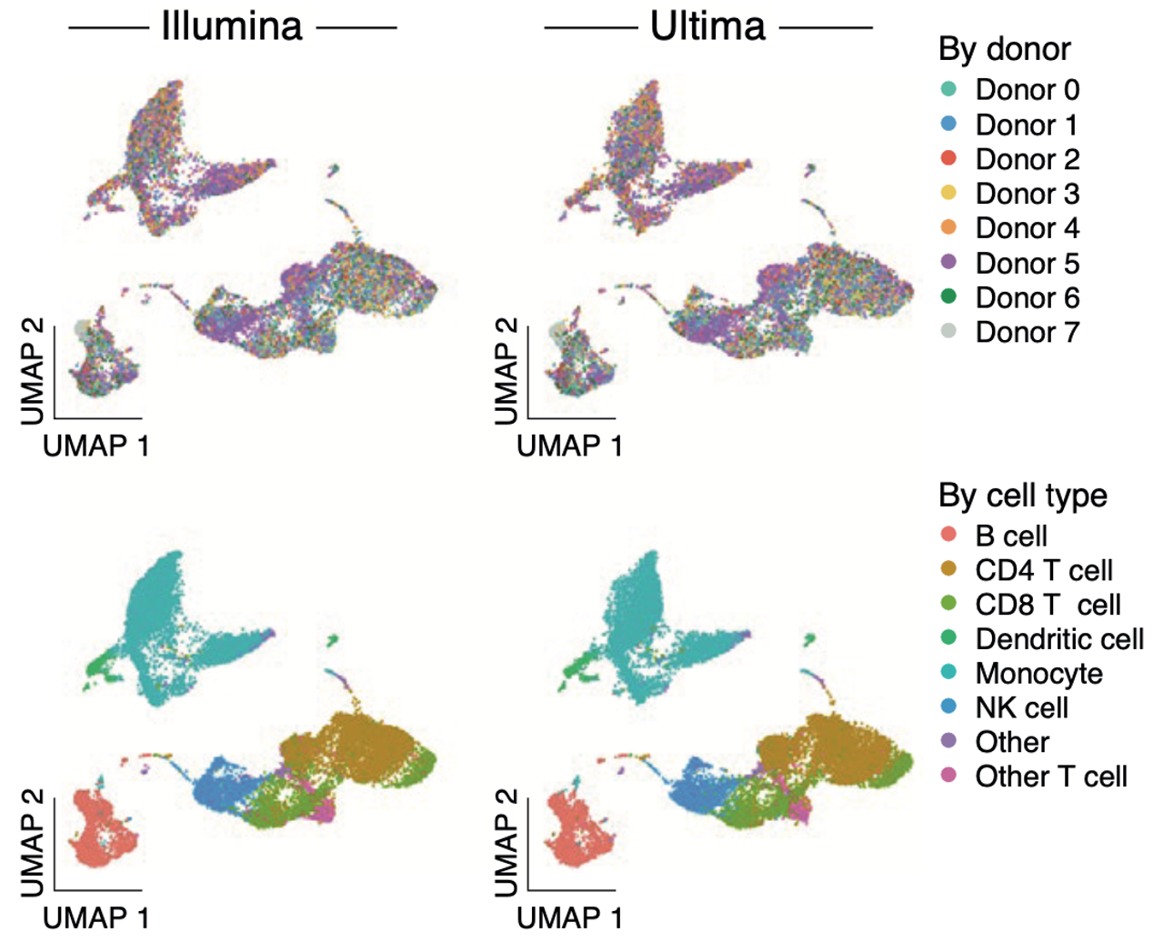 Single Cell And Spatial Sequencing Ultima Genomics Inc Single Cell And Spatial Sequencing Ultima Genomics Inc