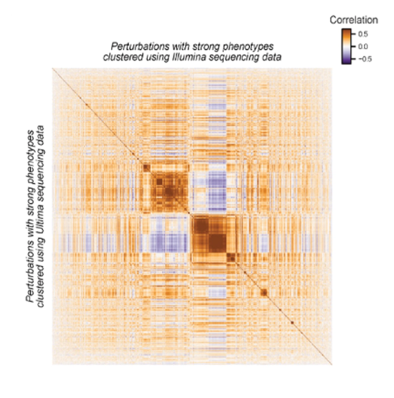 Single Cell And Spatial Sequencing Ultima Genomics Inc Single Cell And Spatial Sequencing Ultima Genomics Inc