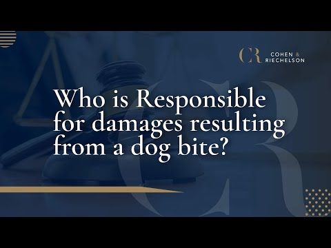 Who is Responsible for damages resulting from a dog bite?