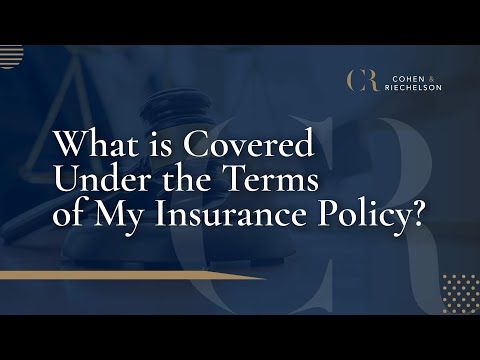 What is Covered Under the Terms of My Insurance Policy?