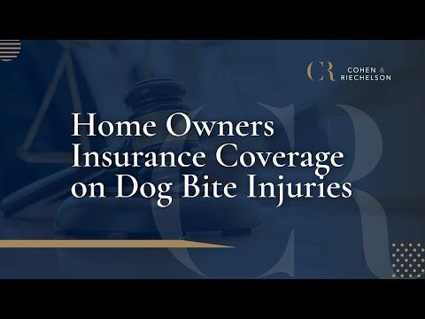 Home Owners Insurance Coverage on Dog Bite Injuries