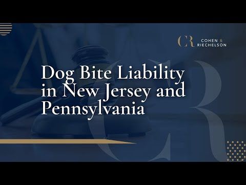 Dog Bite Liability in New Jersey and Pennsylvania