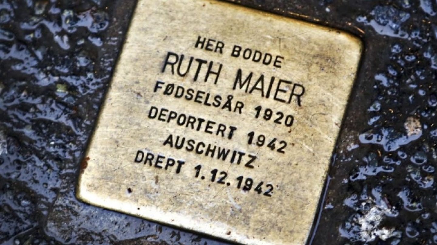 Gallery image for Ruth Maiers dagbok – en trestemt monolog