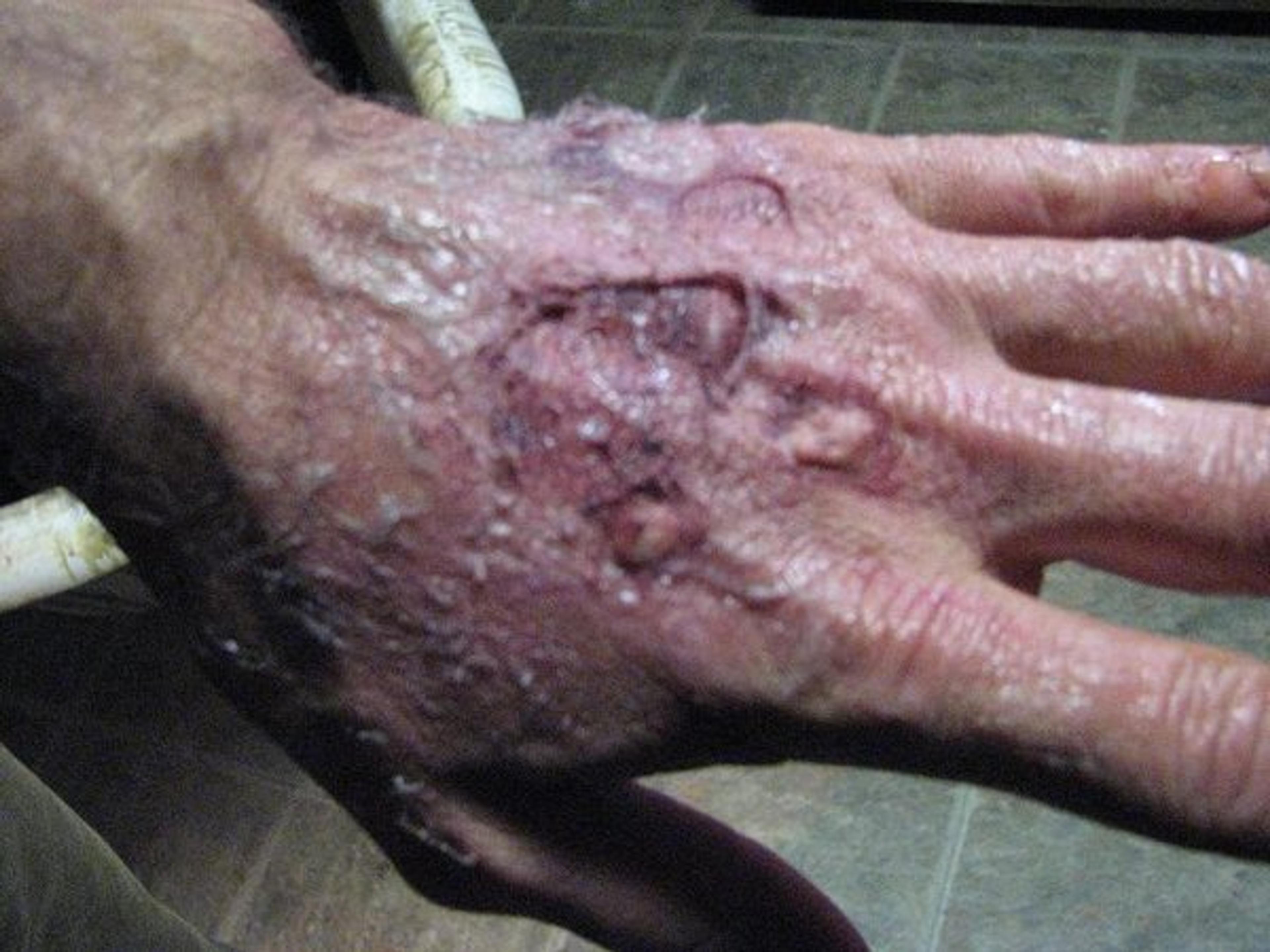 Special FX — Dyana Aives