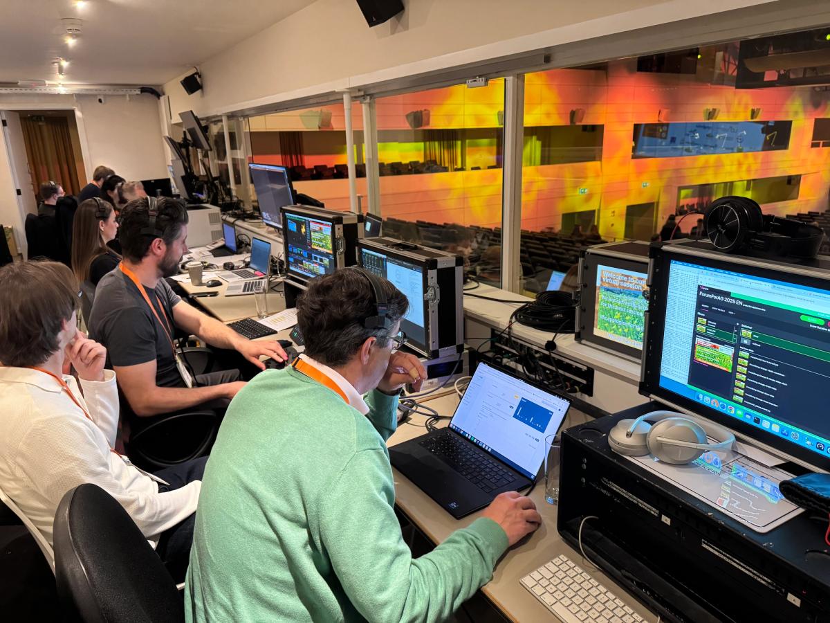 An editing and production gallery, with the team working at screens along a lit wall