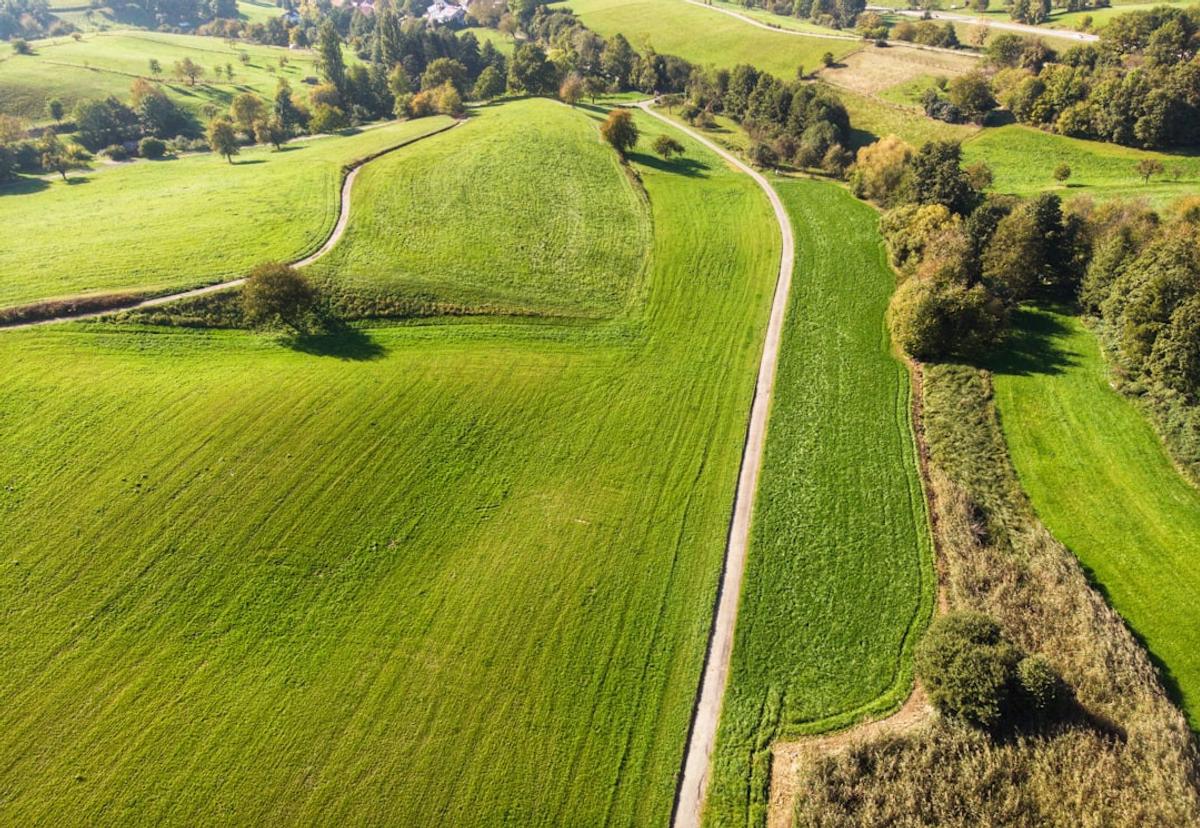Aerial view of green fields, hedgerows and a narrow farm track winding through rolling countryside