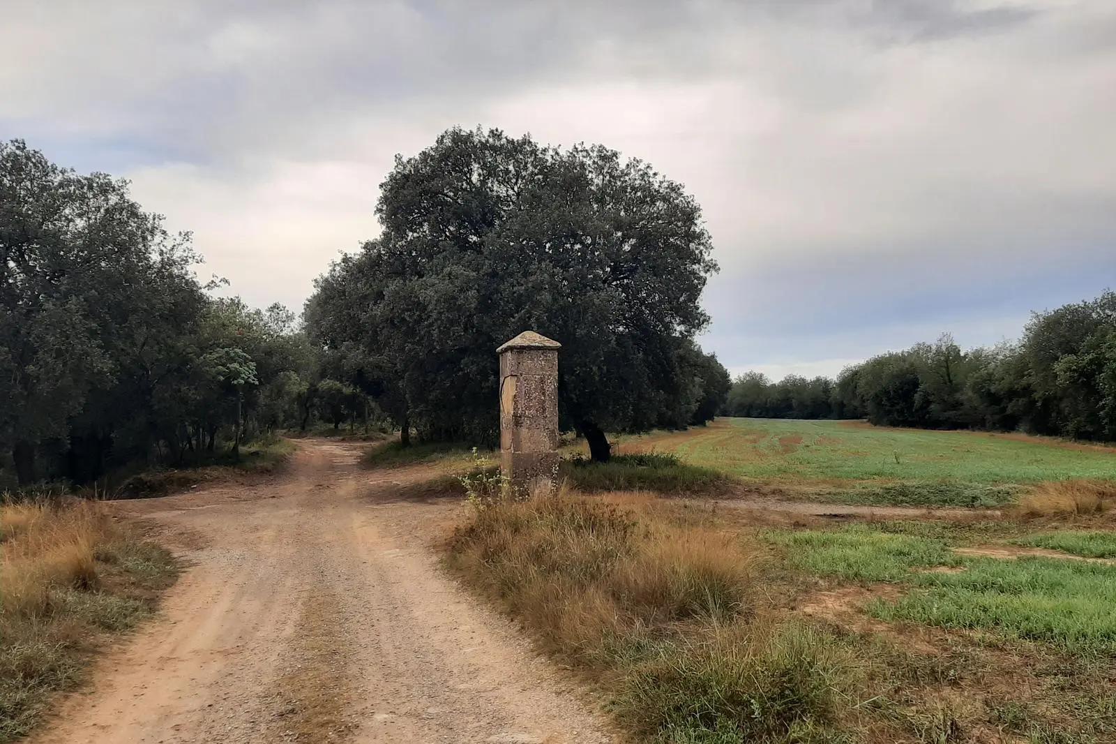 L'Oratori dels Sants Màrtirs o el pedró de la Ruixeda