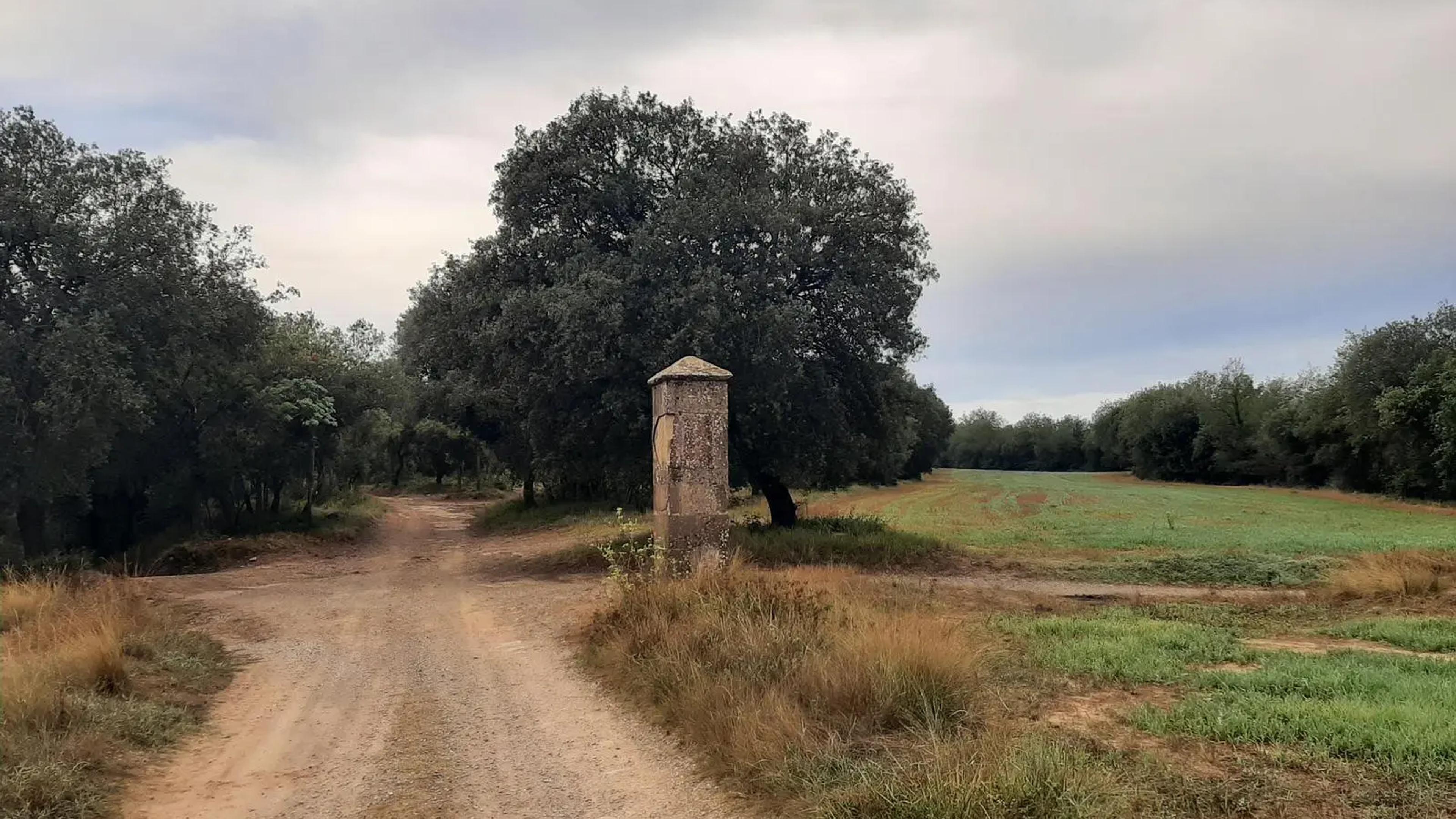 L'Oratori dels Sants Màrtirs o el pedró de la Ruixeda