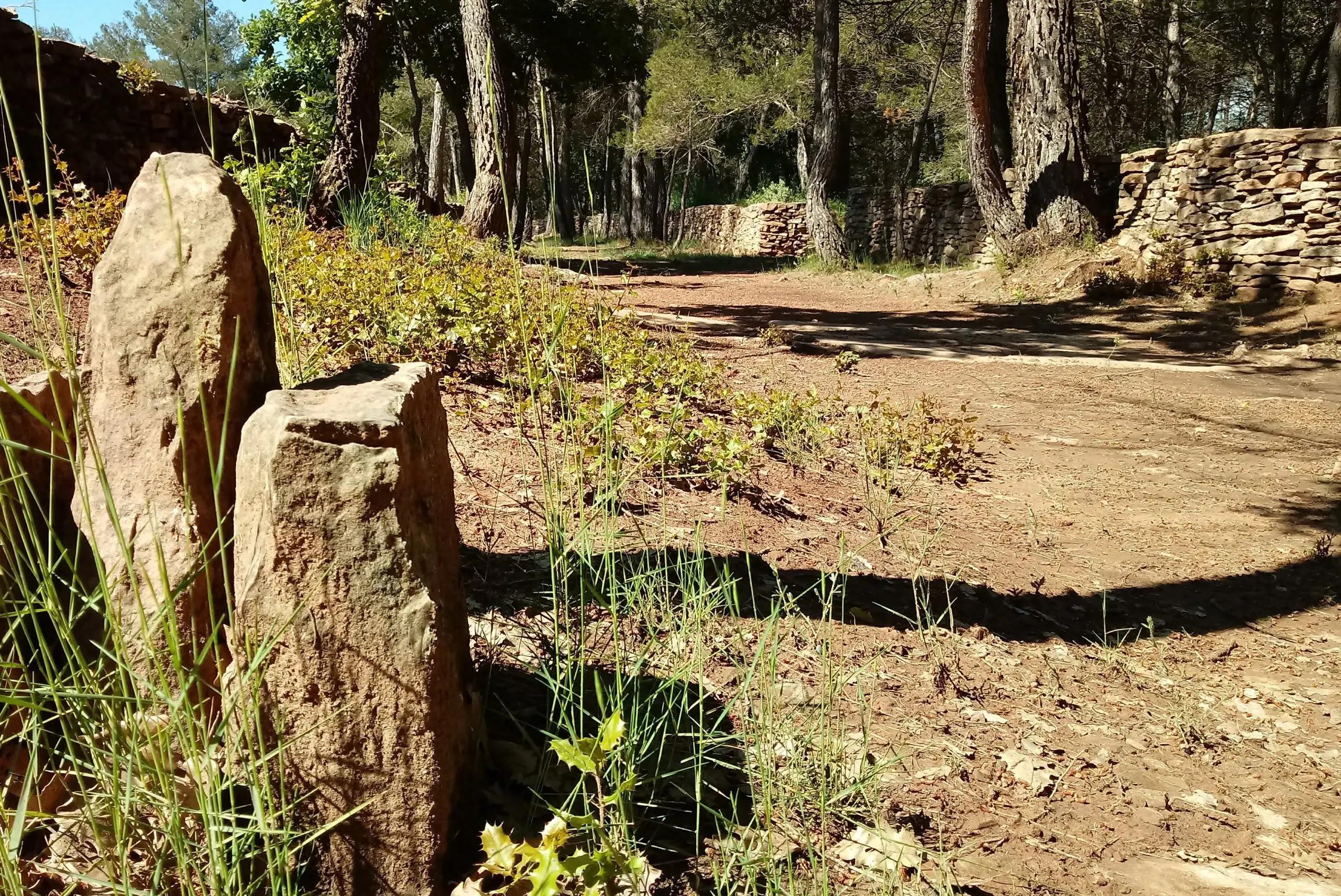 Camí medieval de Sallent a Avinyó