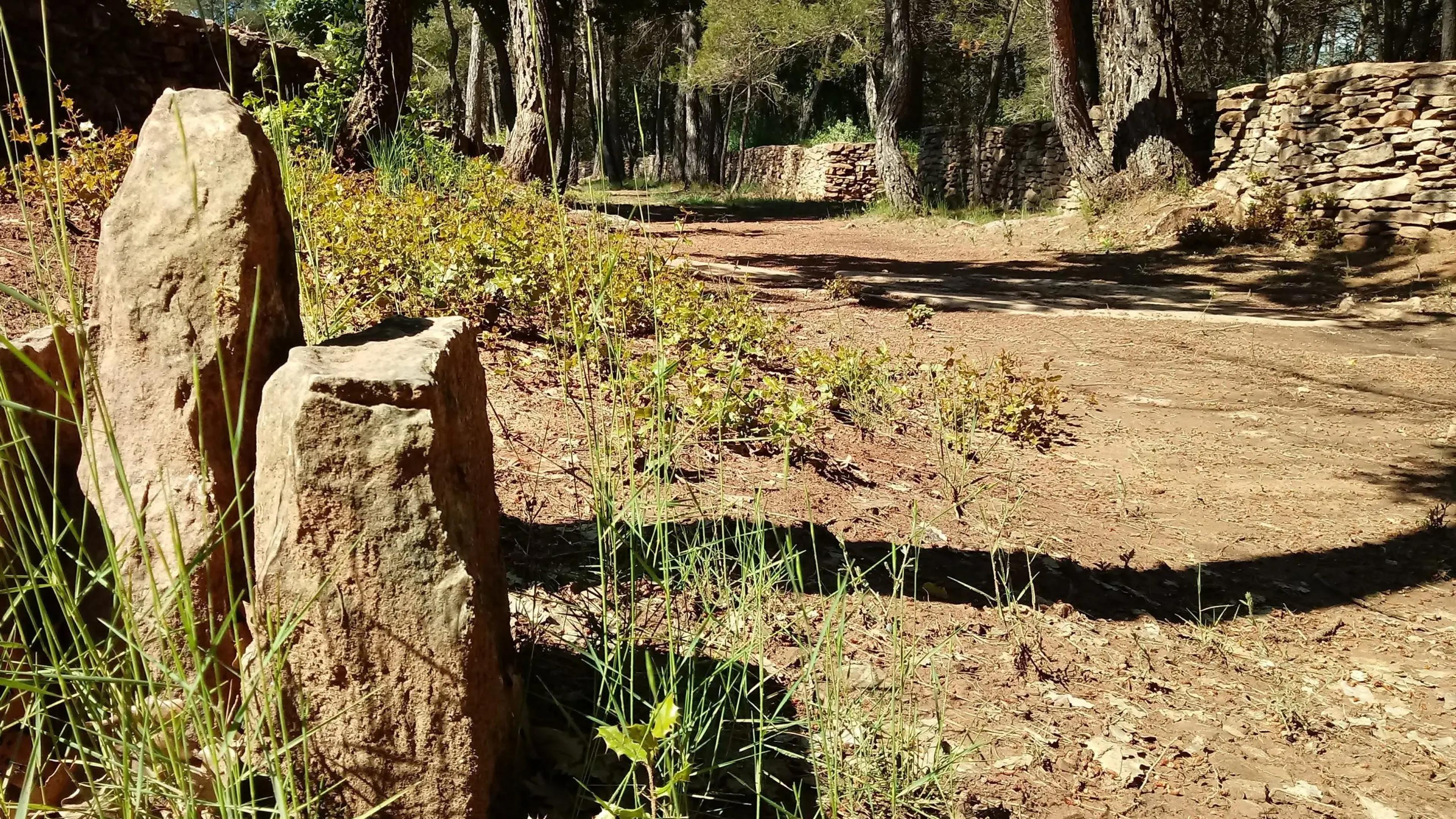 Camí medieval de Sallent a Avinyó
