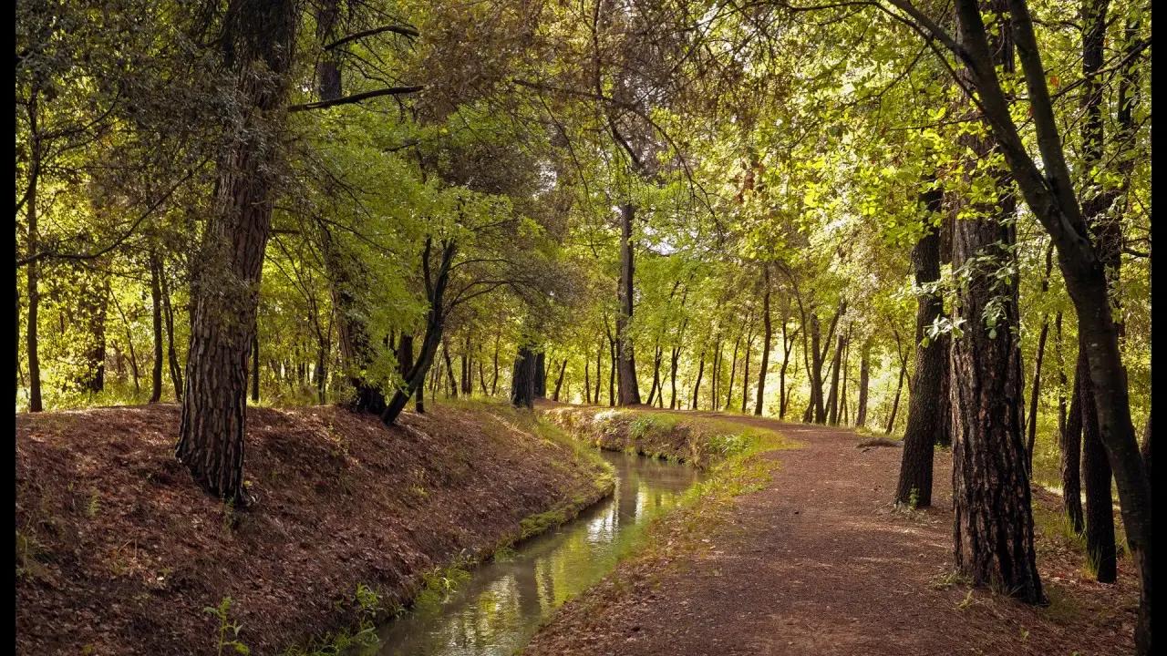 Sèquia de Manresa
