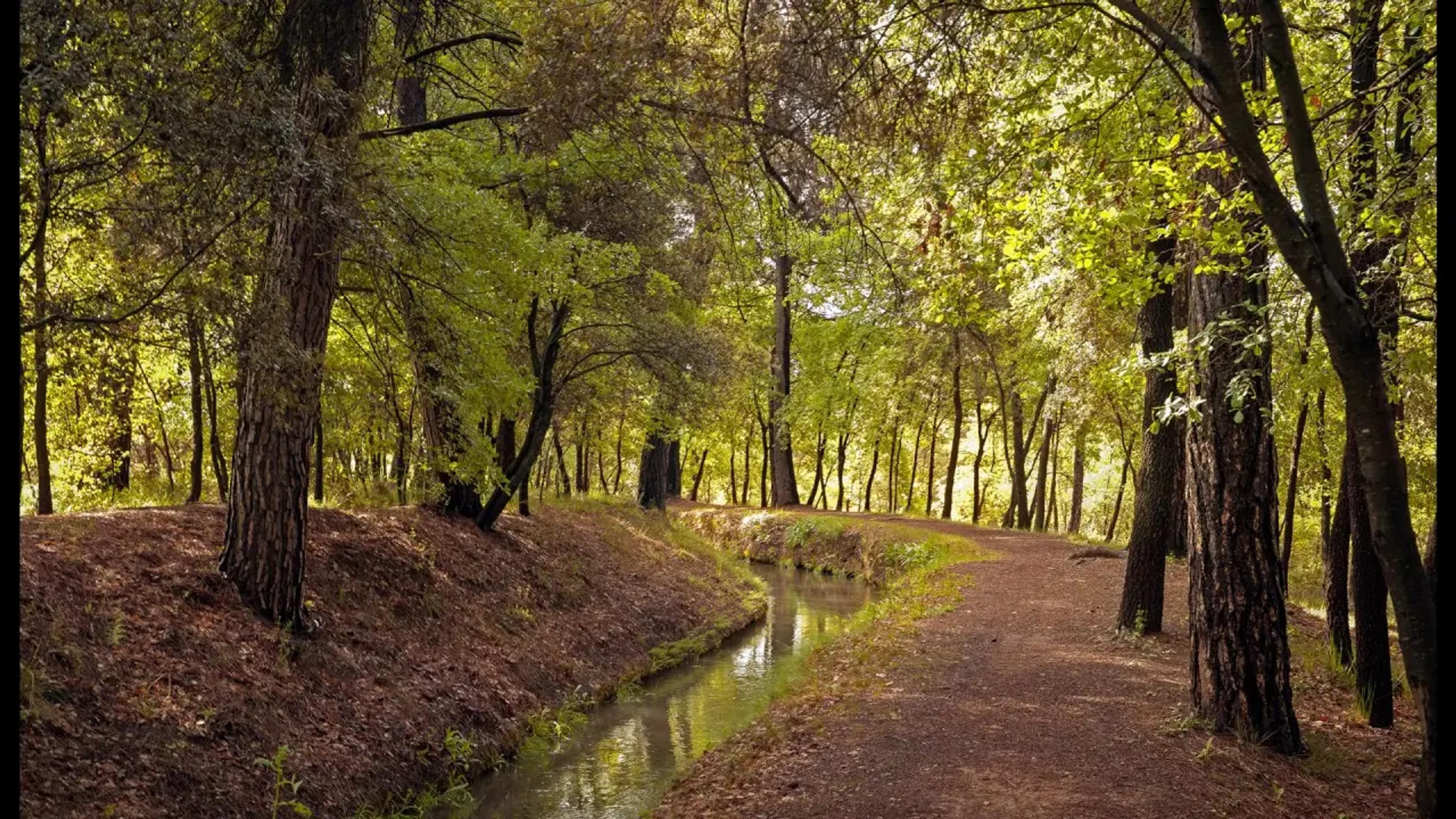 Sèquia de Manresa