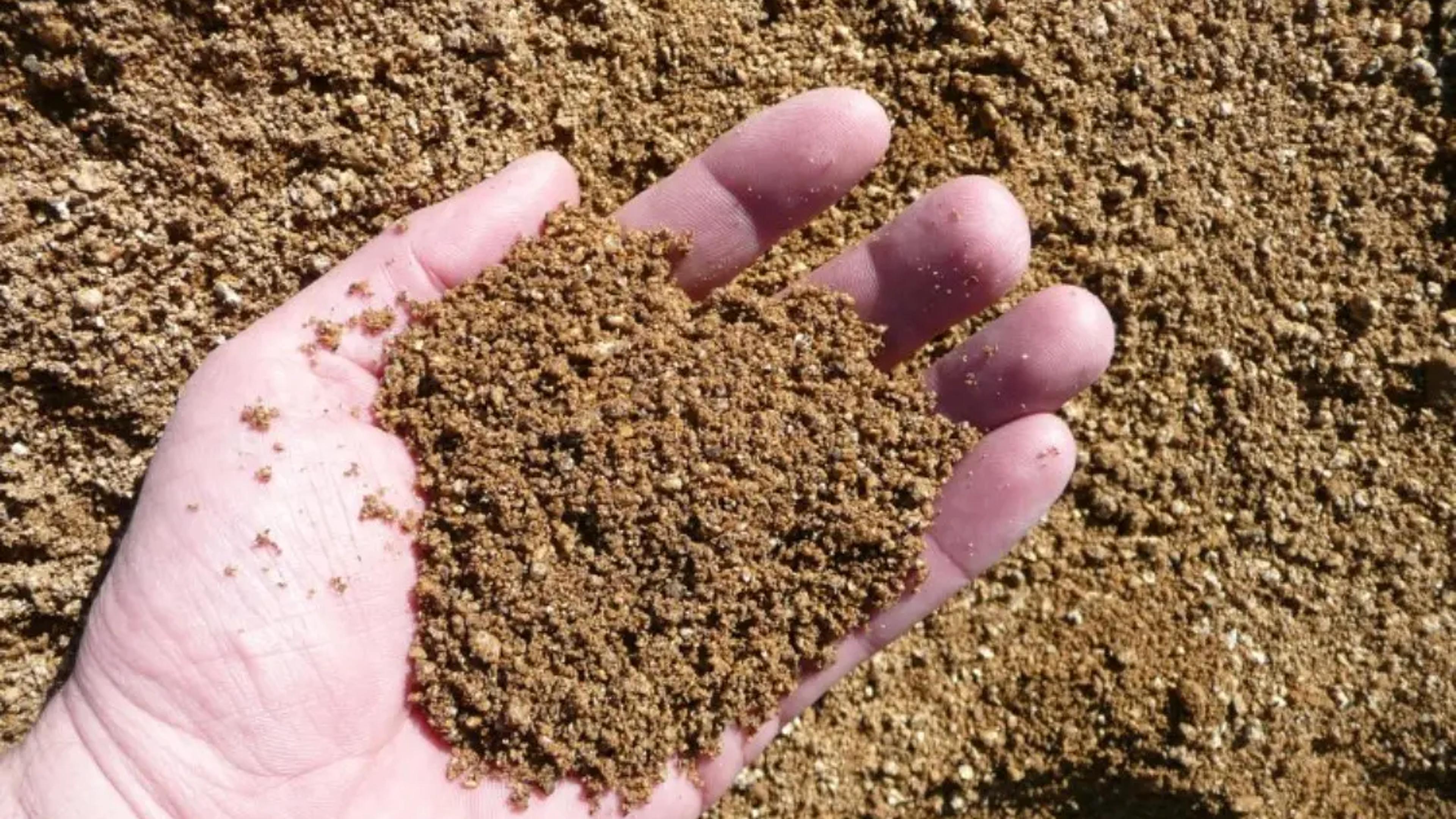 La Saldonera del camí d'Olost
