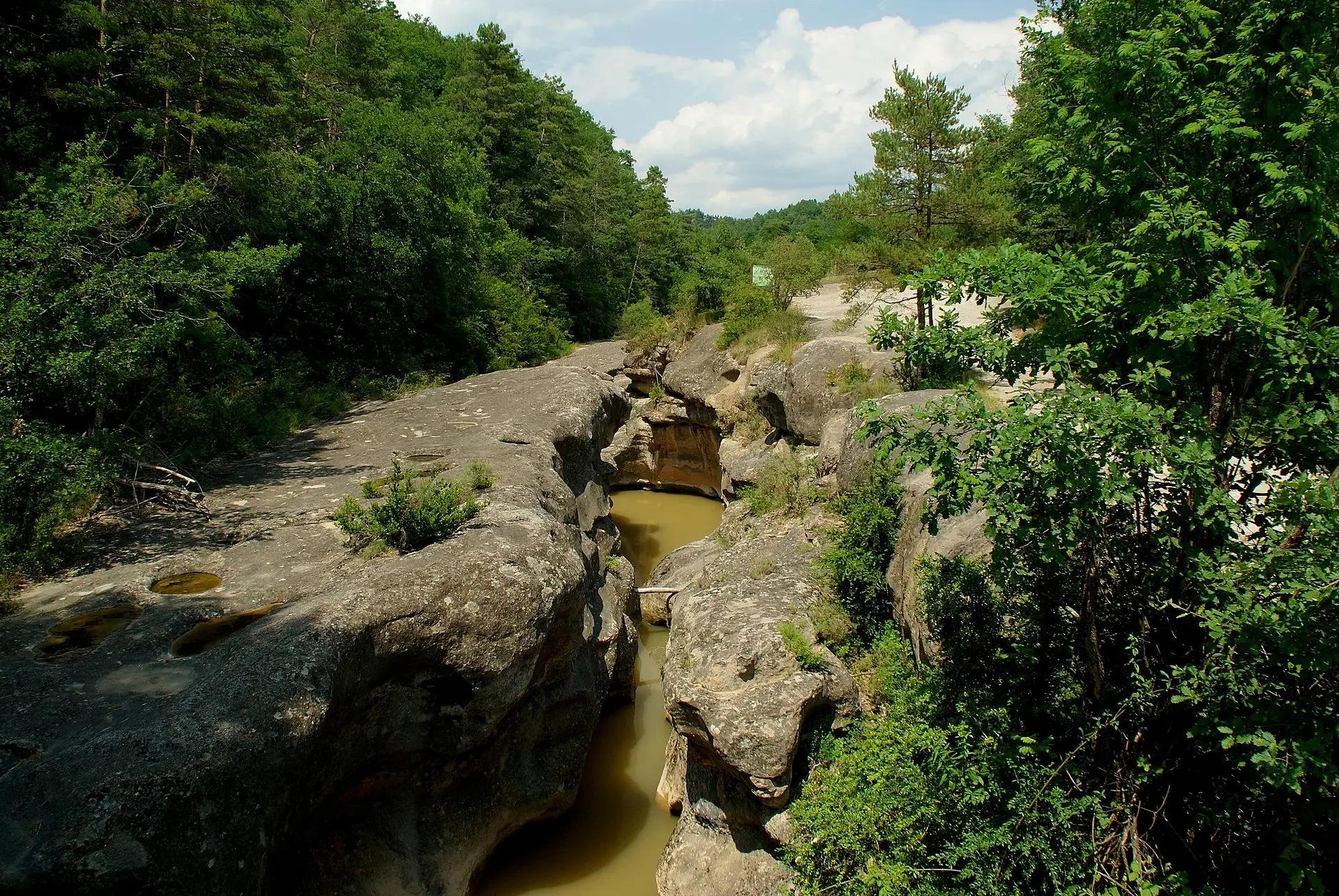 Riera de Merlès