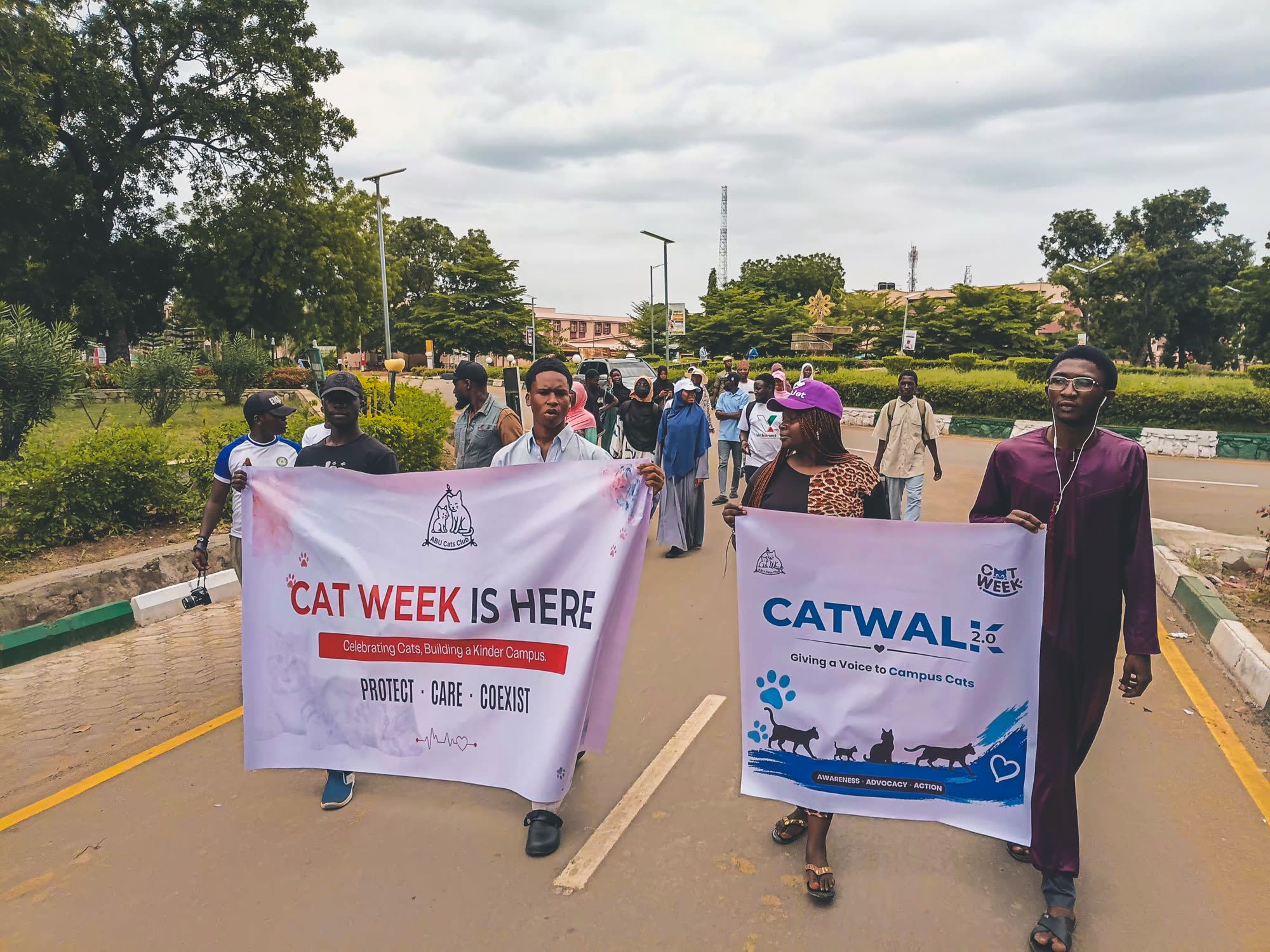 Cat Week & Catwalk — photograph