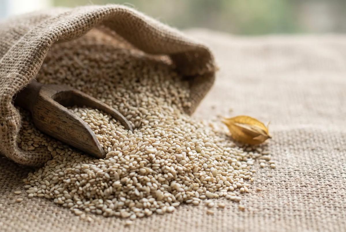Sesame seeds spilling from an open jute sack onto jute cloth