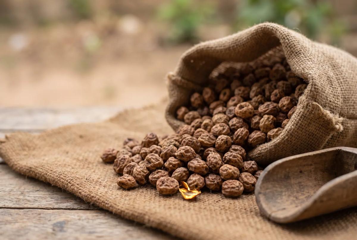 Tiger nuts spilling from an open jute sack onto jute cloth