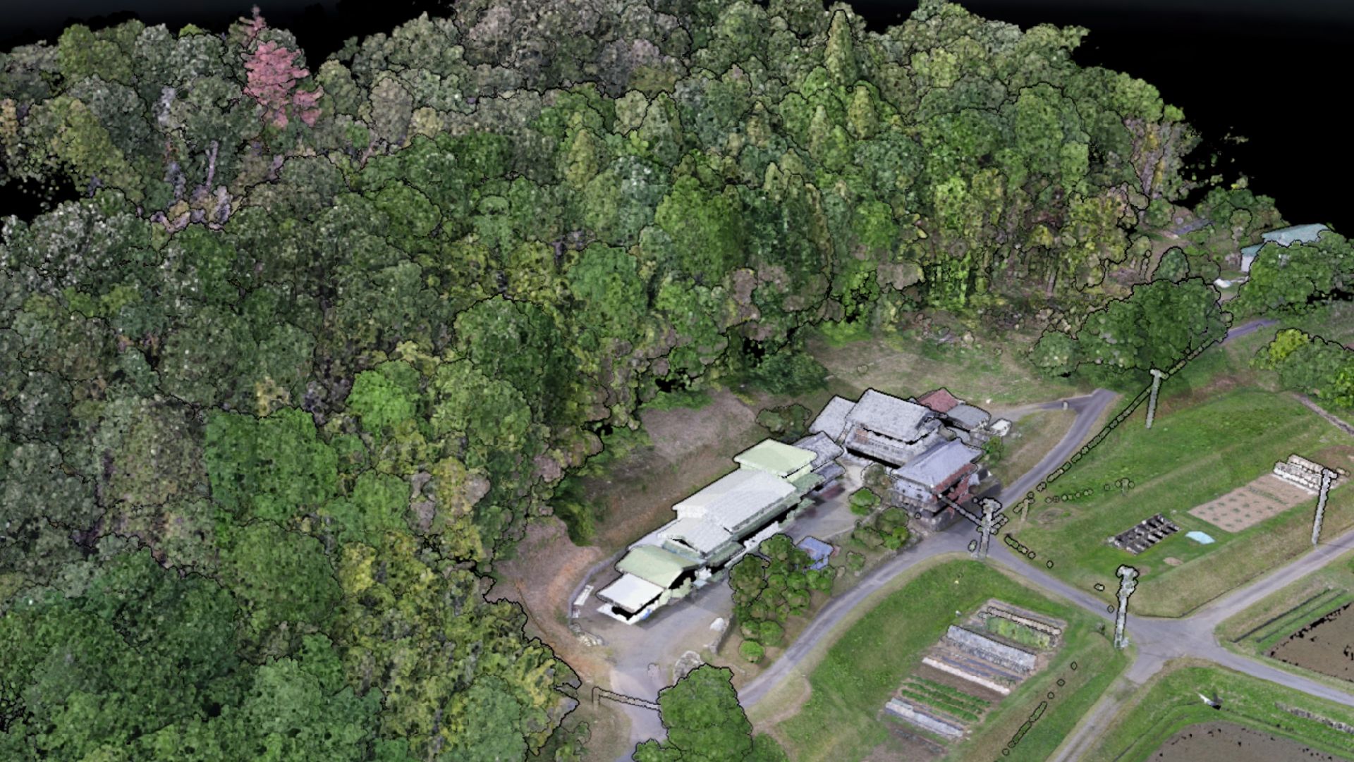 Forestry Analysis