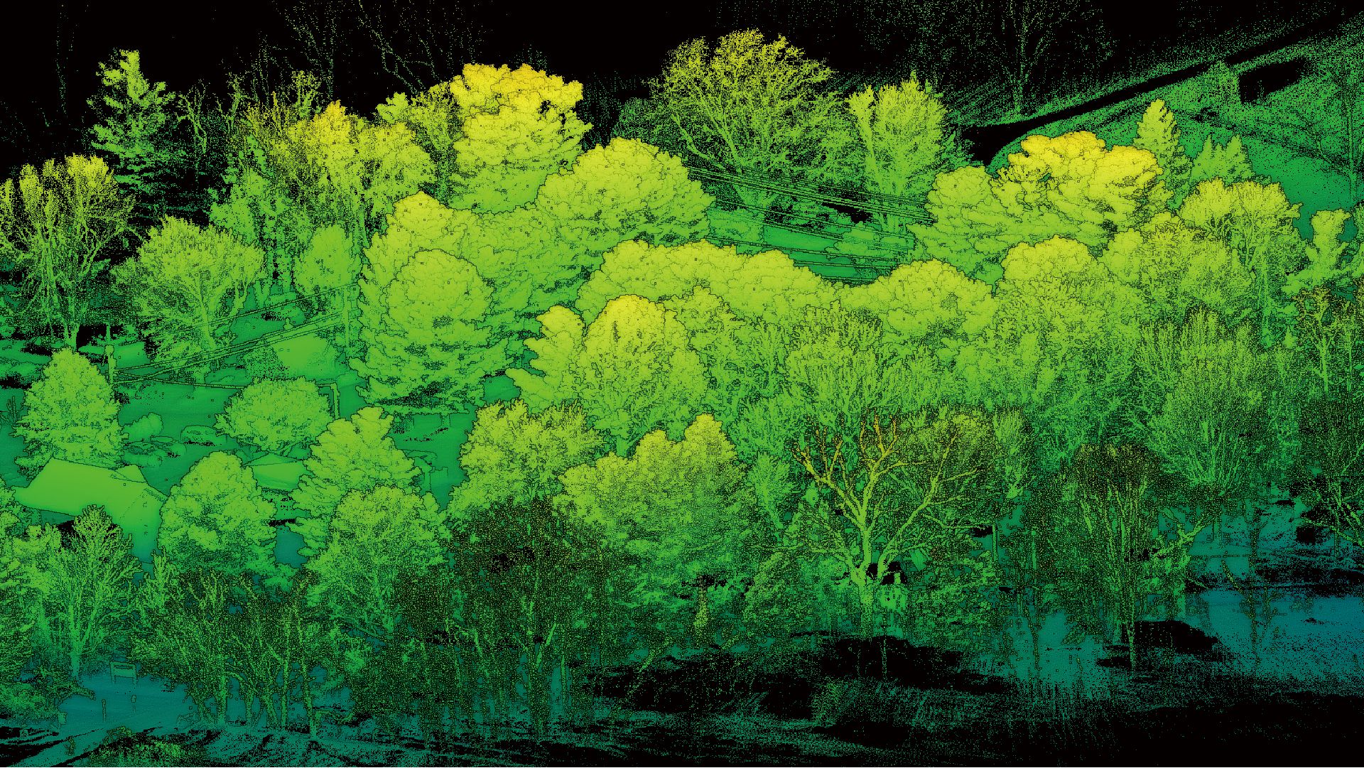 Forestry Analysis
