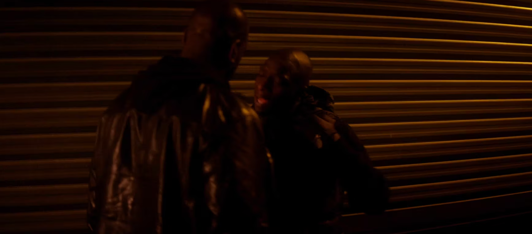 11. Finding Dimo (LMLVSB 2014.)