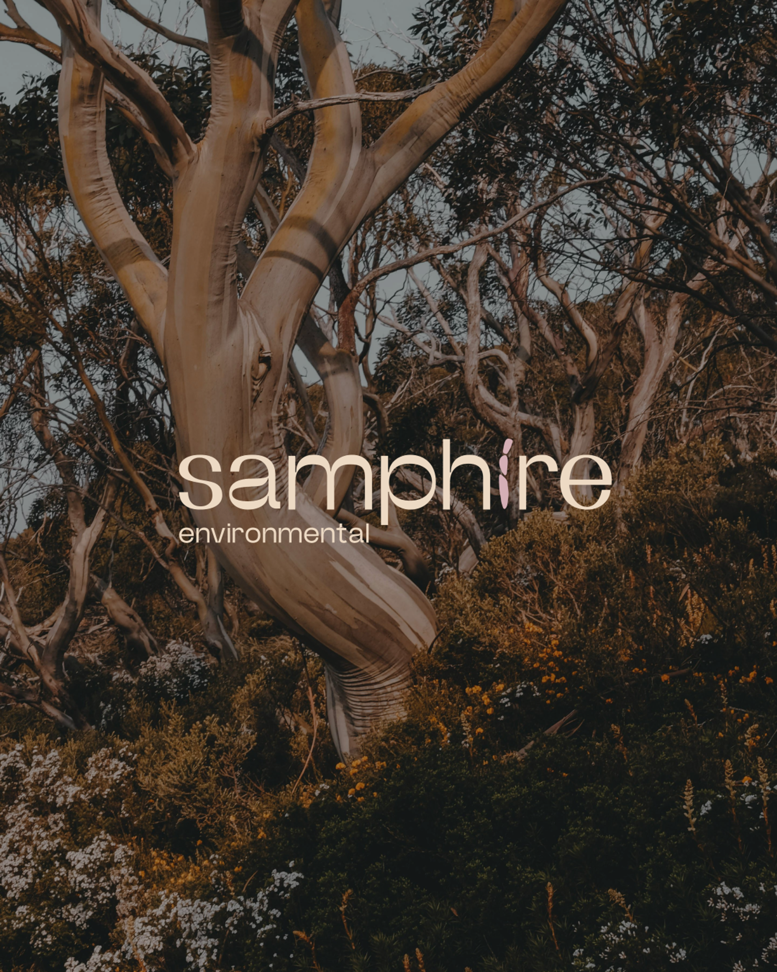 Samphire Environmental Logo