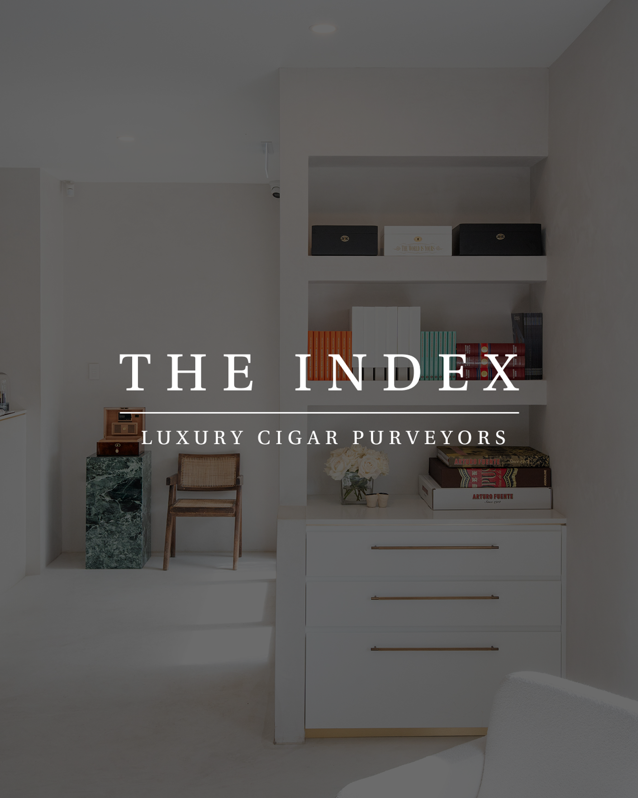 The Index Case Study Image