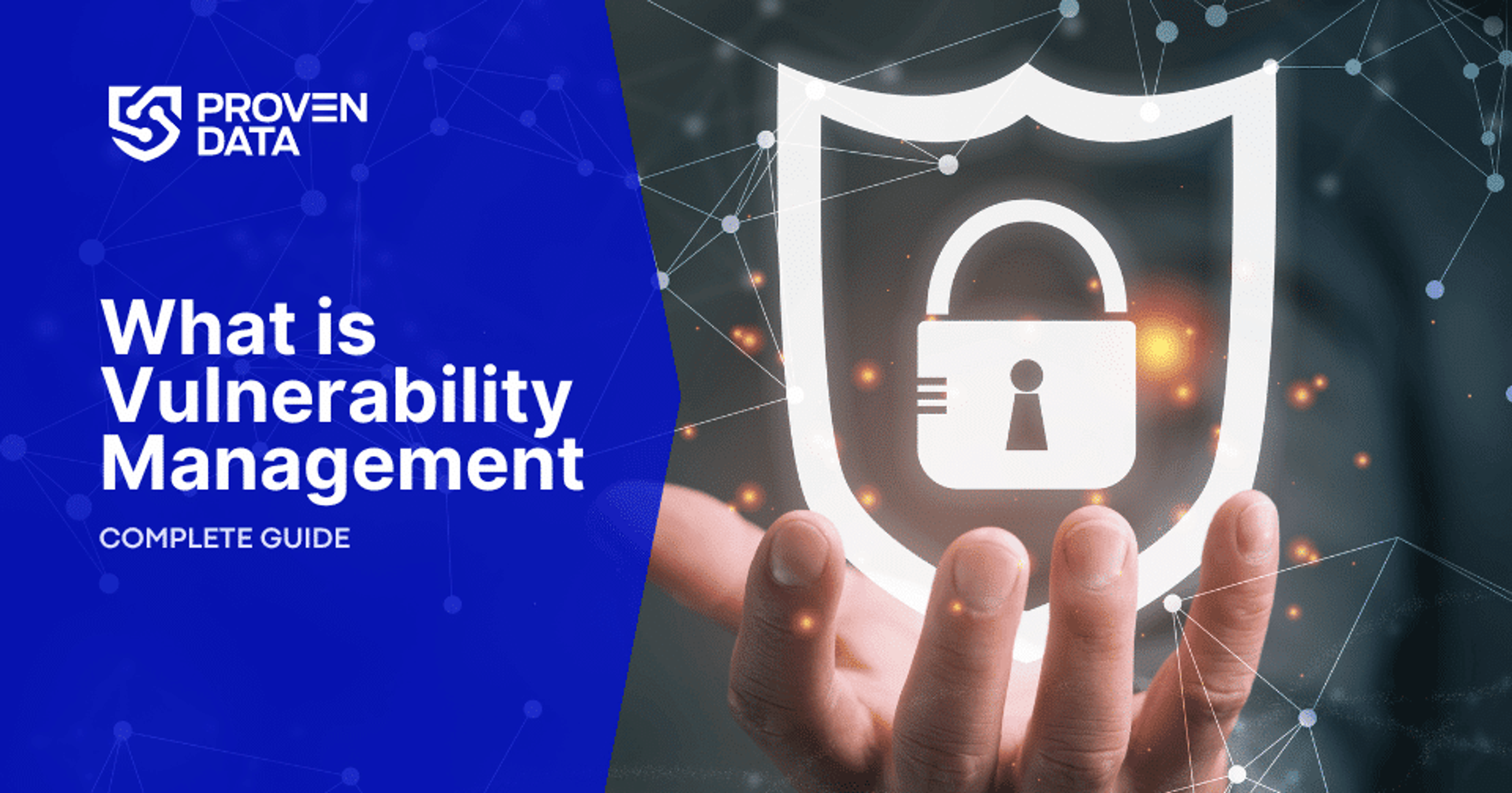 What is Vulnerability Management & How to Implement it in Your Business