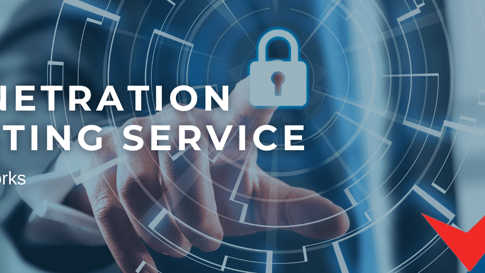 How Does a Penetration Testing Service Work?