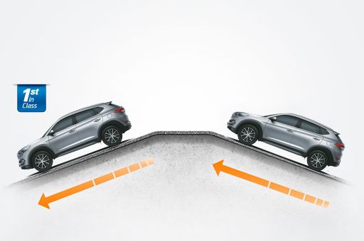 DOWN-HILL BRAKE CONTROL (DBC) AND HILL-START ASSIST CONTROL (HAC)