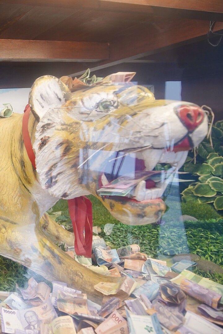 Bái Hǔ Xīng Jūn