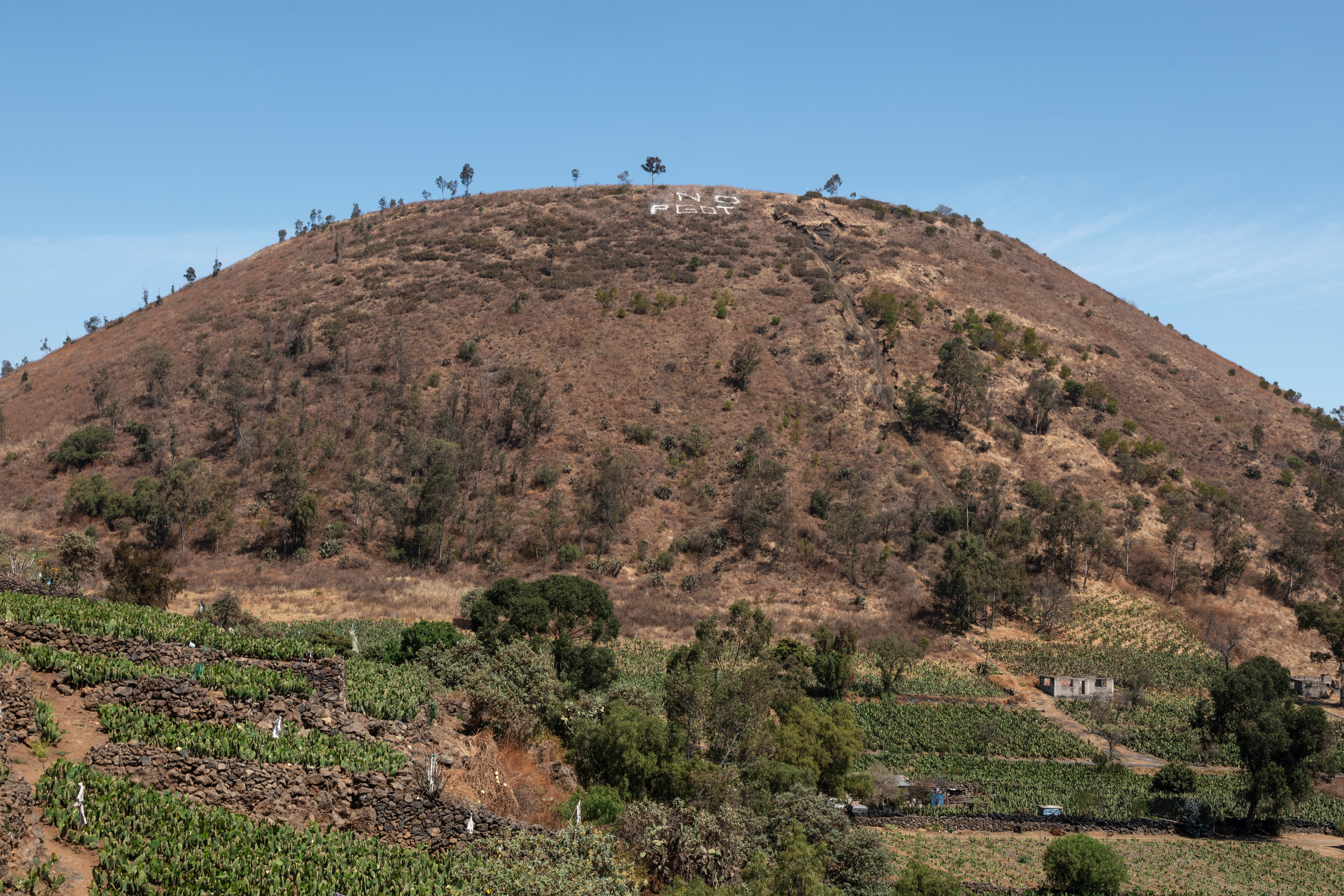 Milpa